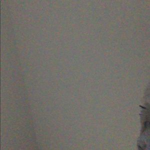 Meet your Posher, Tyrus